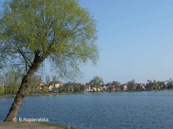 Miedzychód